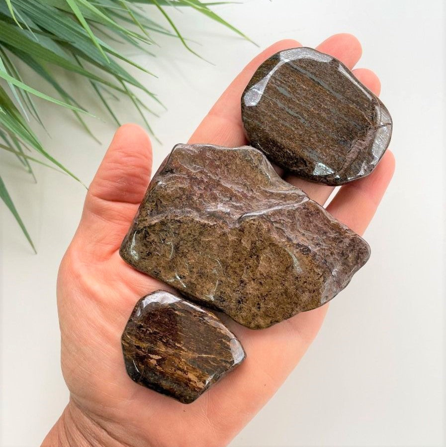 Polished Slabs - Bronzite - 500g(12-20)pc Polished Slabs - Bronzite - 500g(12-20)pc